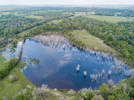 Media Image 2