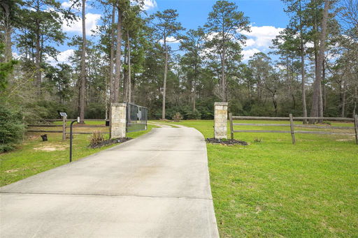 Media Image 2