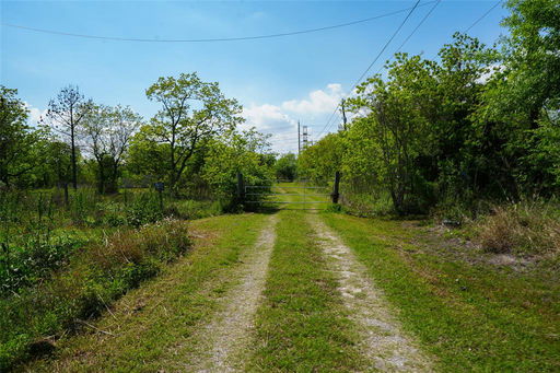 Media Image 2