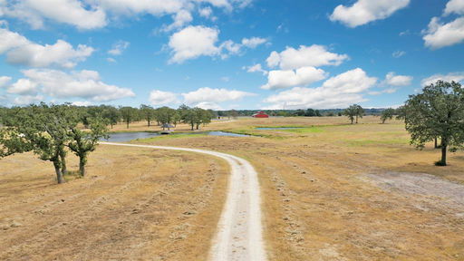 Media Image 3