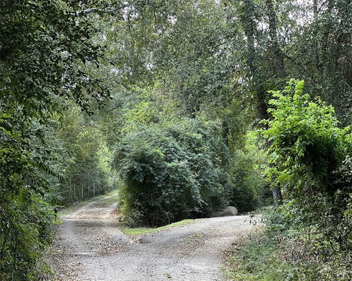 Media Image 2