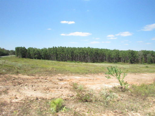 Media Image 2