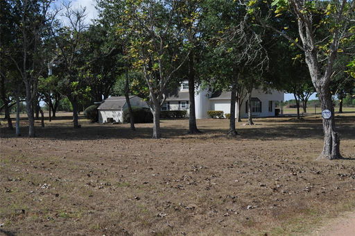 Media Image 3