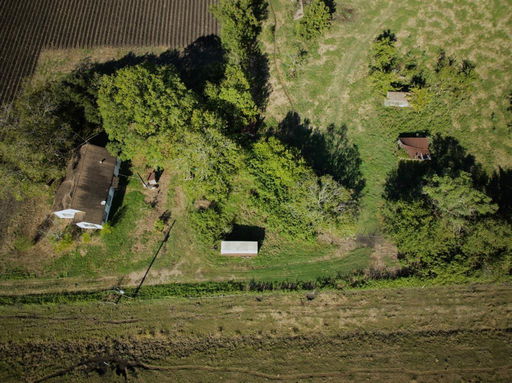 Media Image 2