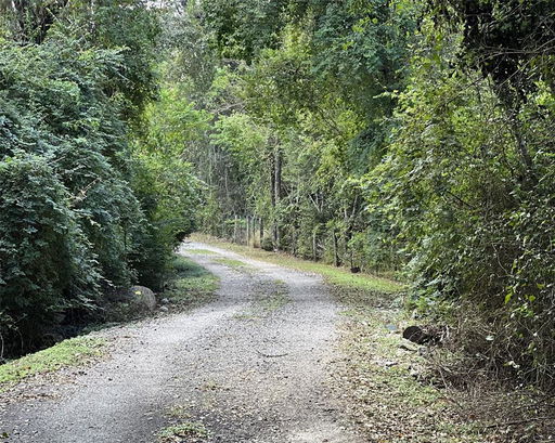 Media Image 3