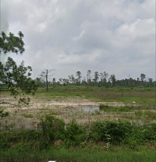 Media Image 3