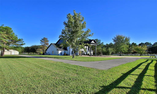 Media Image 2