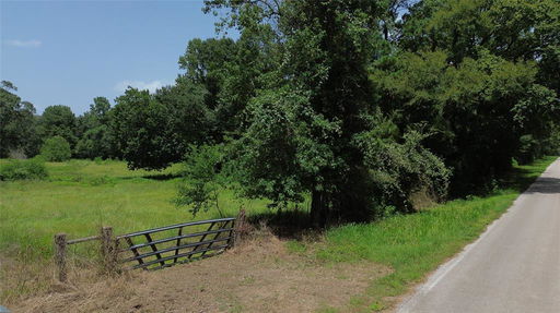 Media Image 2