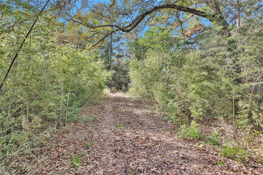 Media Image 3