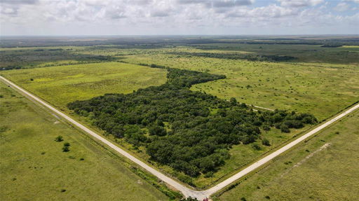 Media Image 2