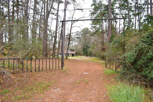 Media Image 2