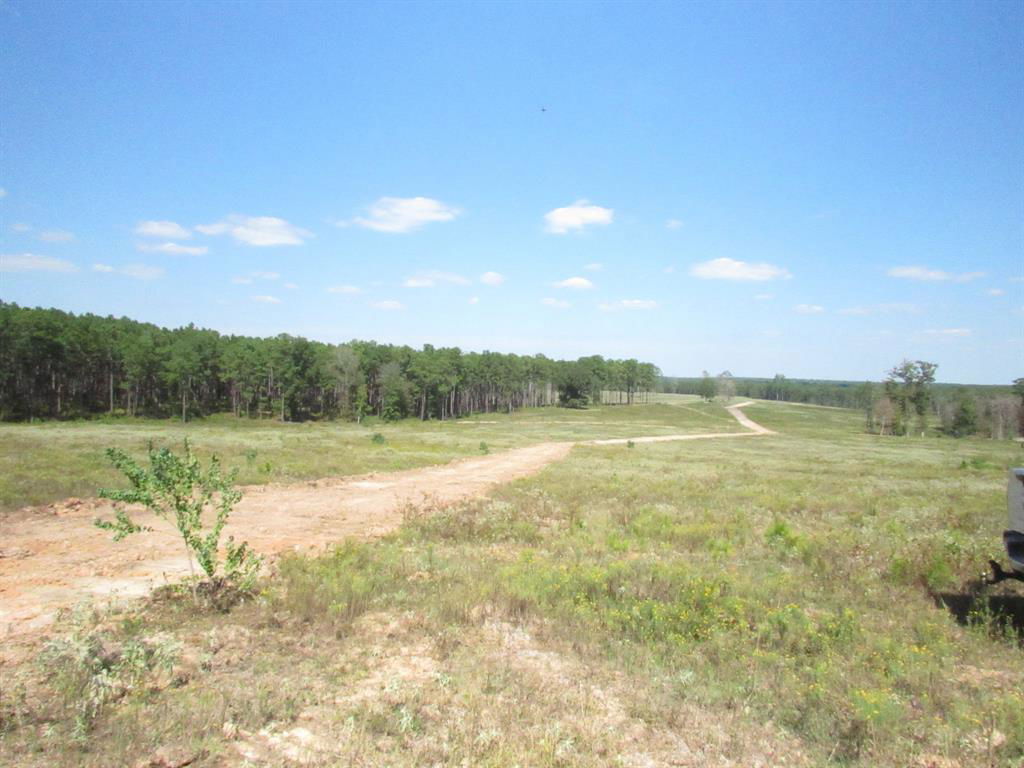 Media Image 1