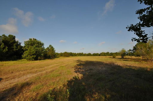 Media Image 2