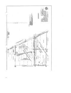 Media Image 3