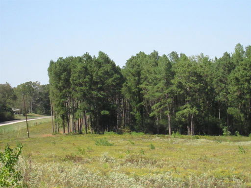 Media Image 3