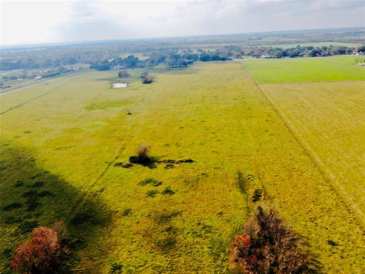Media Image 3