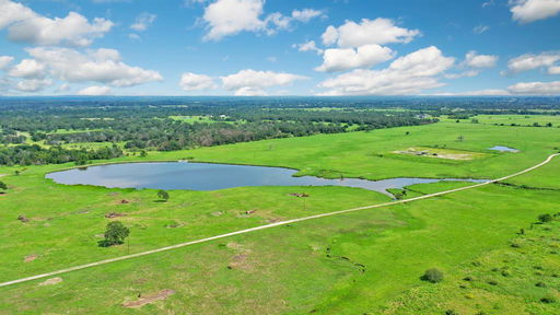 Media Image 3