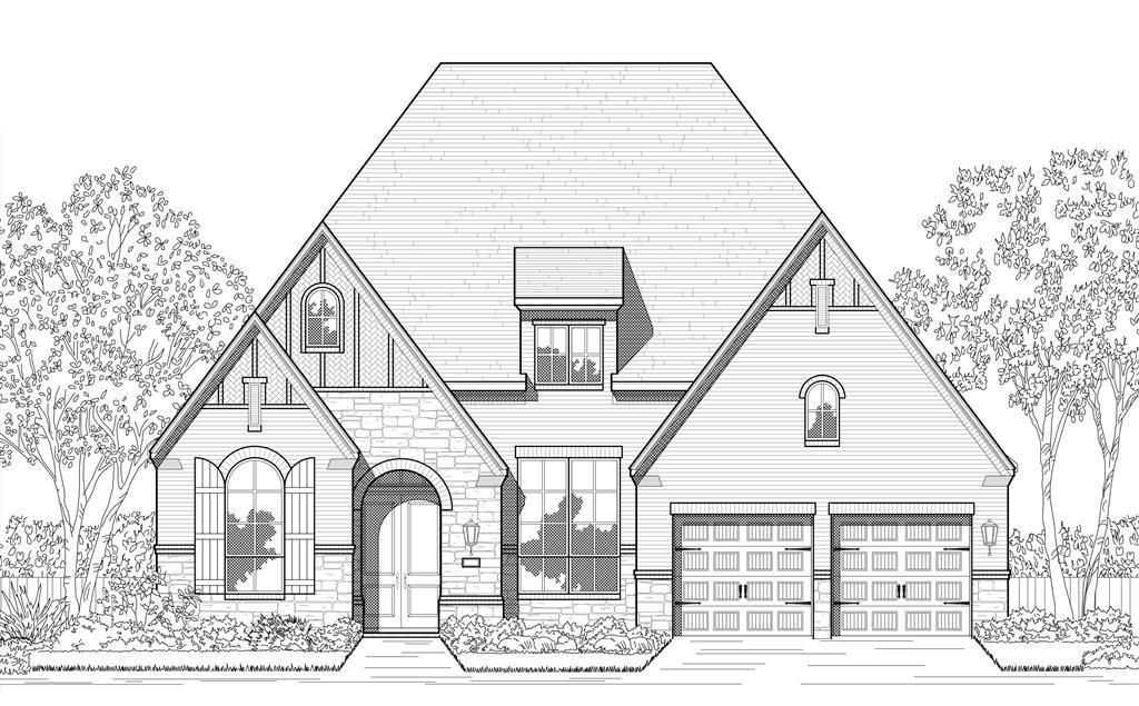 Media Image 1