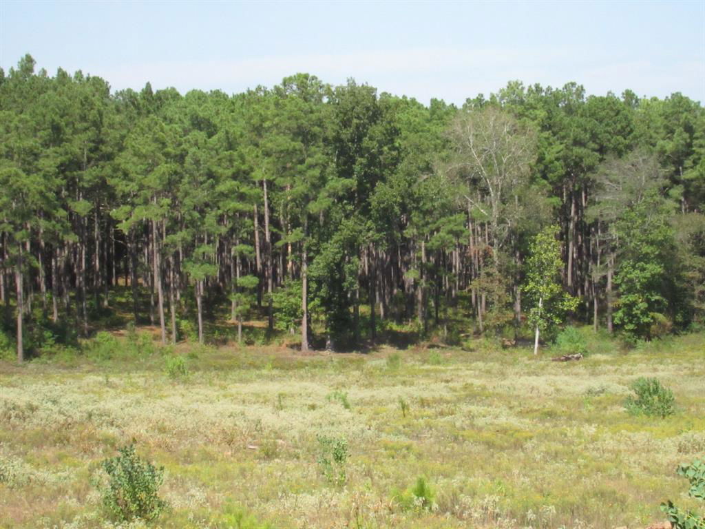 Media Image 1