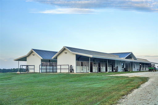 Media Image 2