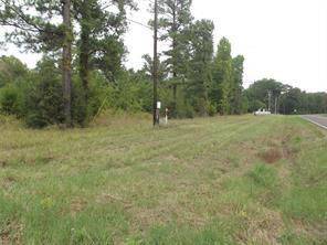 Media Image 1