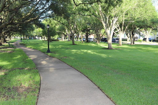 Media Image 2