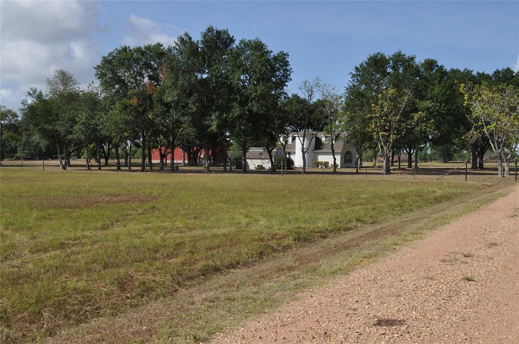 Media Image 1