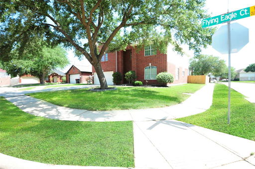 Media Image 3