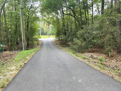 Media Image 2