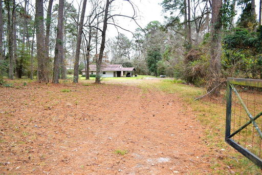 Media Image 3