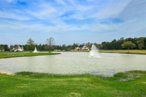 Media Image 2