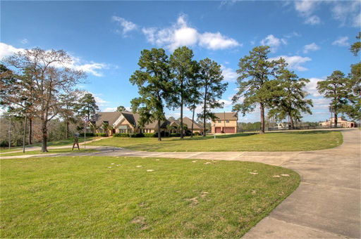 Media Image 3