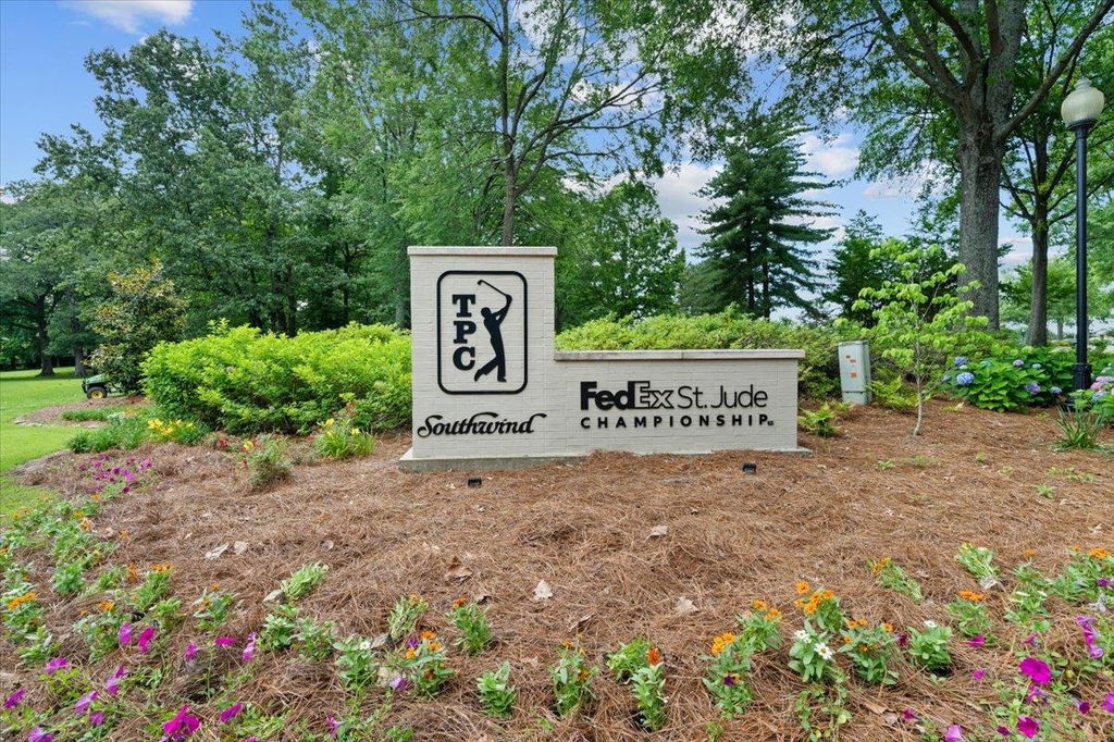 Media Image 1