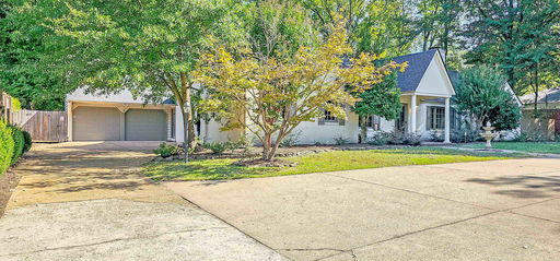 Media Image 3