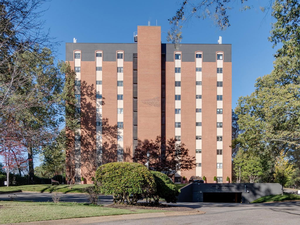 Media Image 1