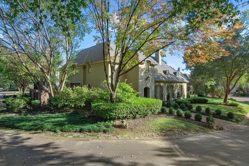 Media Image 2