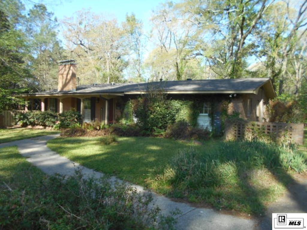 Media Image 1