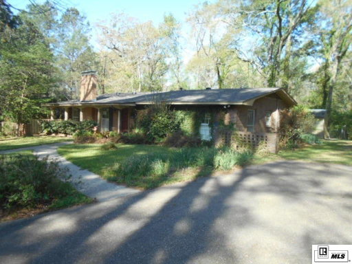 Media Image 2
