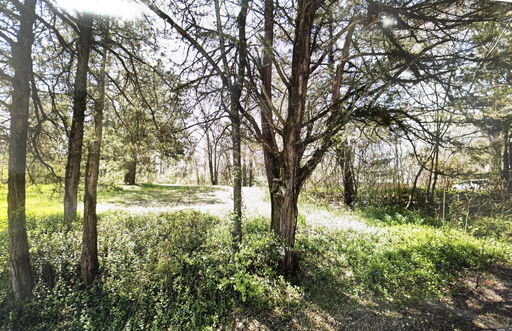 Media Image 3