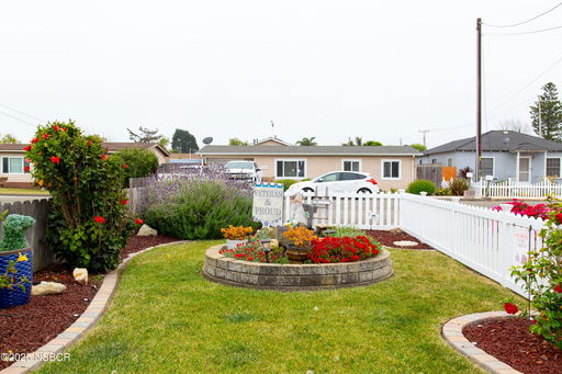 Media Image 2