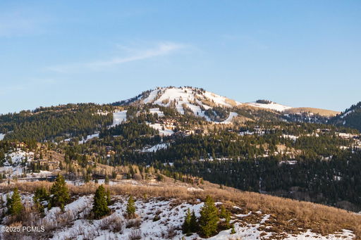 Media Image 3