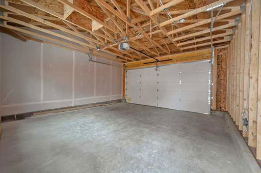 Media Image 3