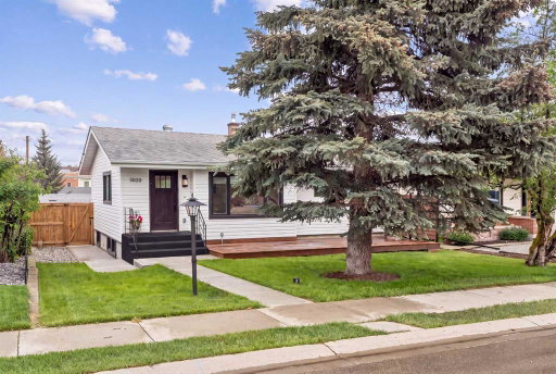 Media Image 3