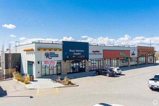 Media Image 3