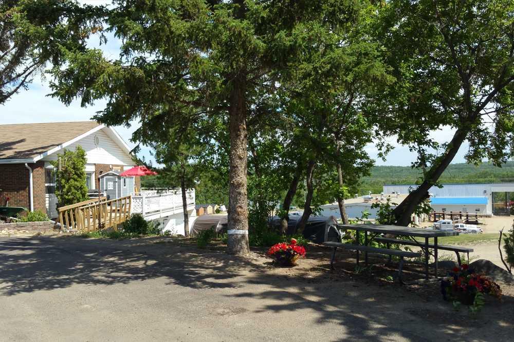 Media Image 1