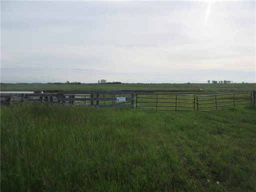 Media Image 2