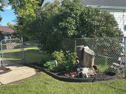 Media Image 3