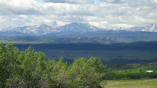 Media Image 3