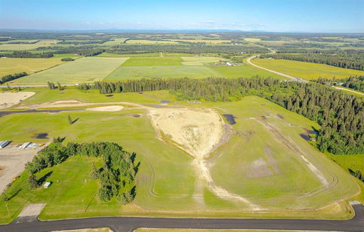 Media Image 2