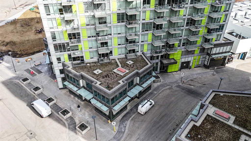 Media Image 2